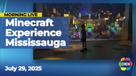 Mine, battle, escape at the Minecraft Experience