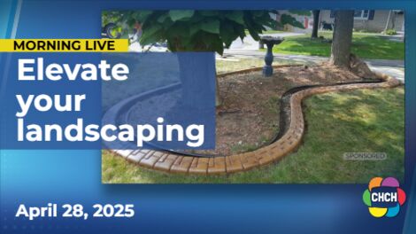 It's time to elevate your curb appeal