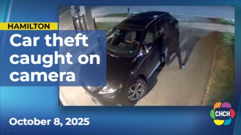 Three young Hamilton men arrested in series of car thefts