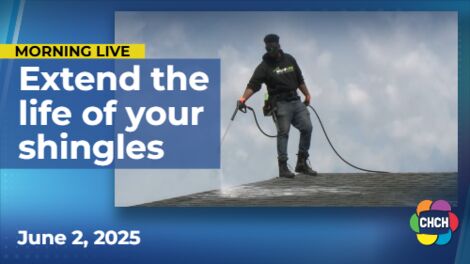 Extend the life of your shingles with RoofLife's eco-friendly treatment