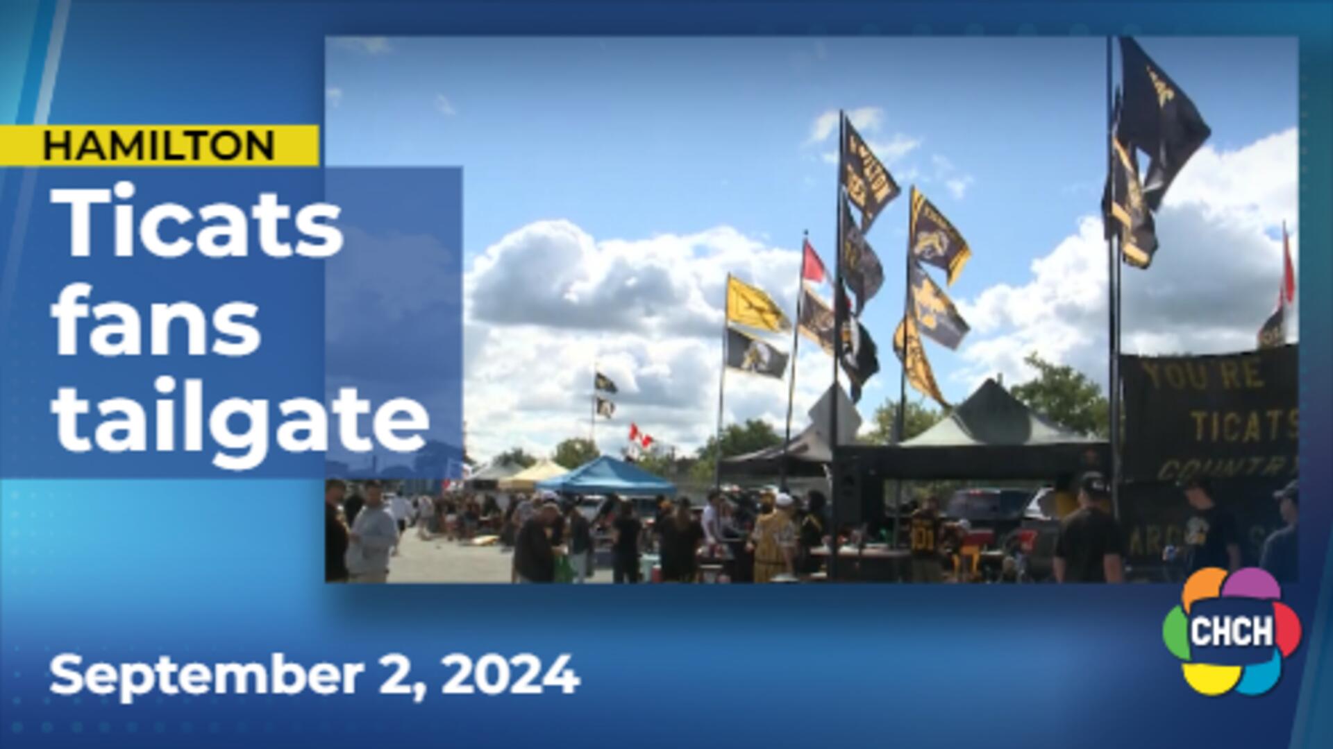 'Oskee wee wee baby!': Tabbies Nation turns up for Labour Day