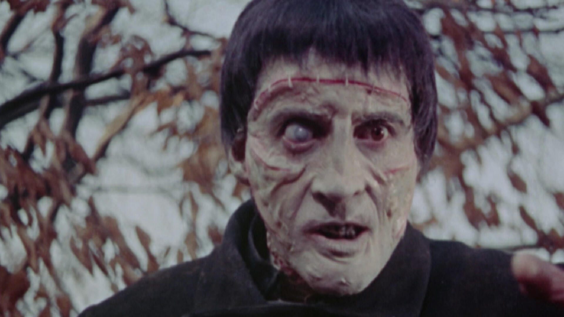 Curse of Frankenstein