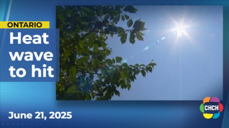 Heat wave warnings issued for Halton, Hamilton and Niagara regions