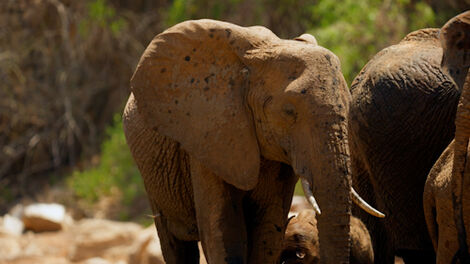 S1E002 Chaning Planet S01E002