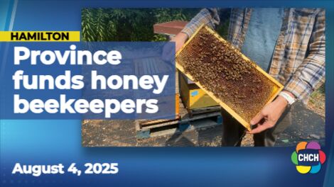 Local beekeepers worry U.S. trade war may impact honey industry, bee health