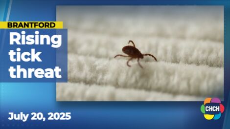 Brantford woman warns Ontarians about rising tick threat