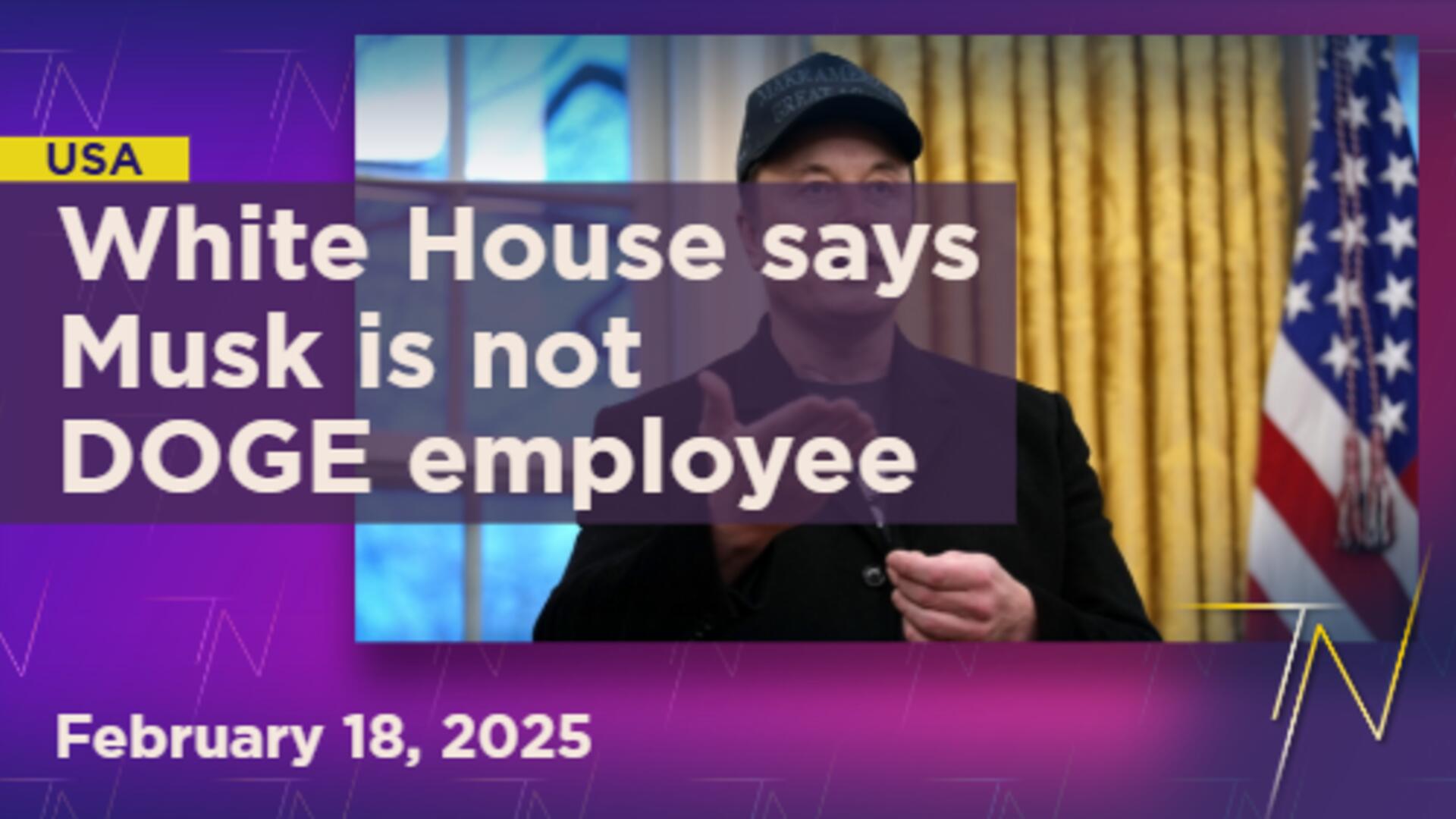 White House confirms Elon Musk just an advisor amid legal battles with DOGE