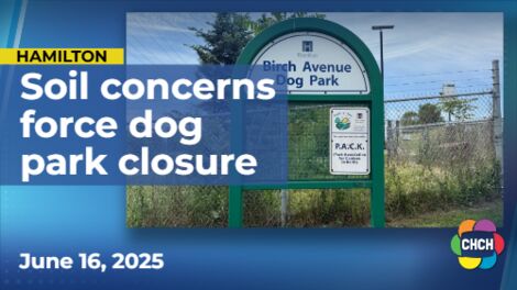 East-end Hamilton dog park closed for soil testing