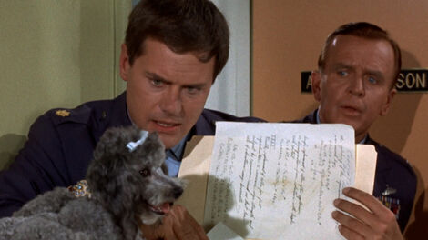 S2E006 What's New, Poodle Dog?