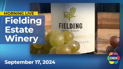 Falling in love with the new wines at Fielding Estate