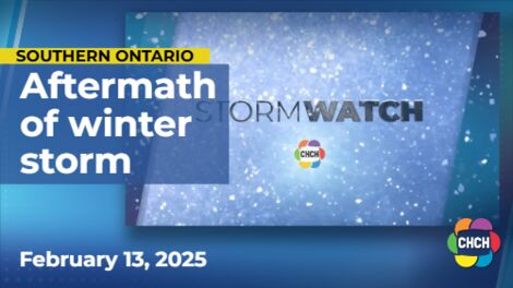 Multiple GTHA schools, services closed after overnight snowstorm