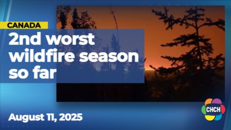 Air quality, heat warnings continue in 2nd-worst Canadian wildfire season on record