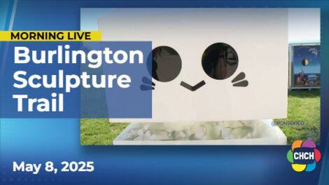 Check out the art pieces on Burlington Waterfront Sculpture Trail