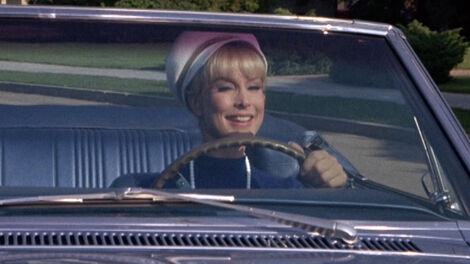 S2E019 You Can't Arrest Me...I Don't Have a Driver's License