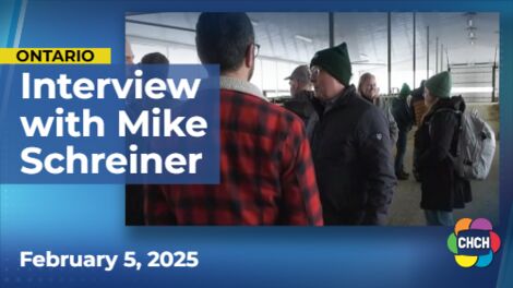 Green Party leader discusses tariffs and upcoming election