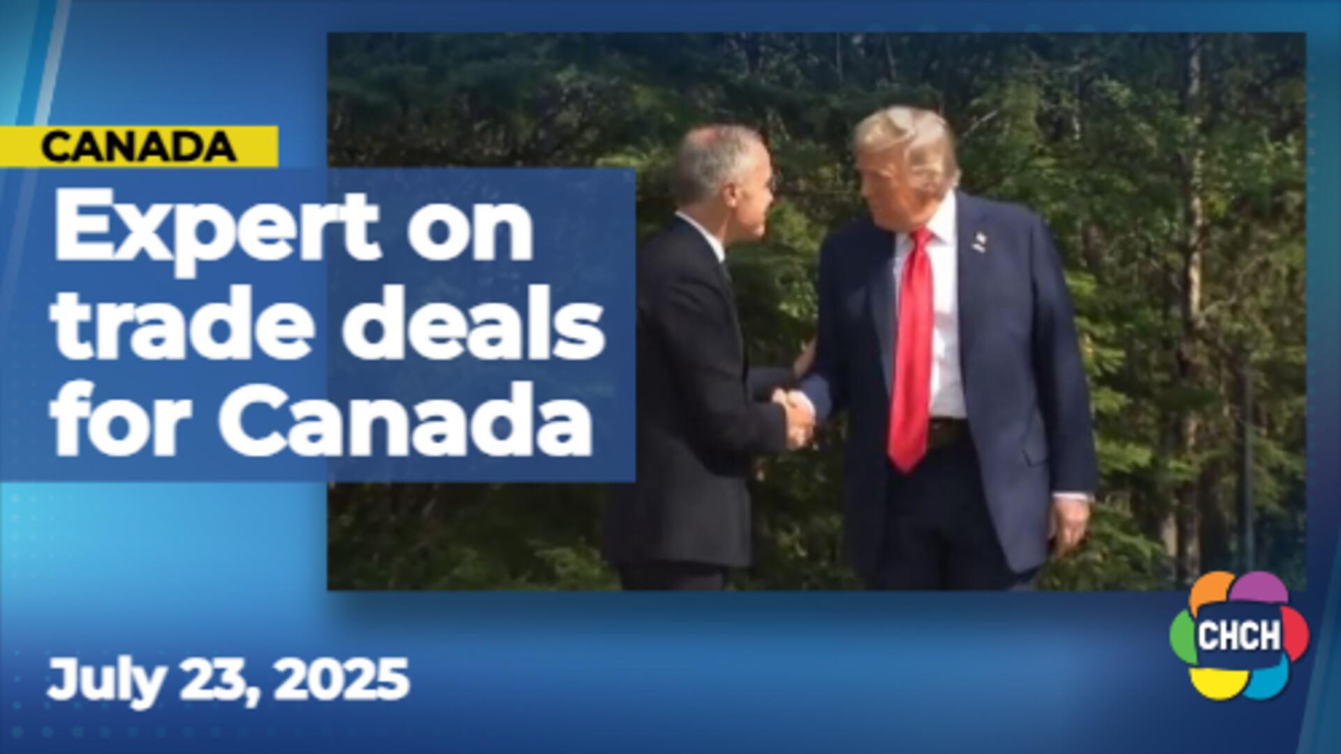 Political analyst discusses what a good trade deal for Canadians might look like
