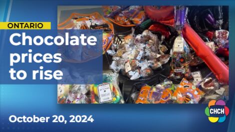 Rising cocoa prices may lead to less chocolate this Halloween