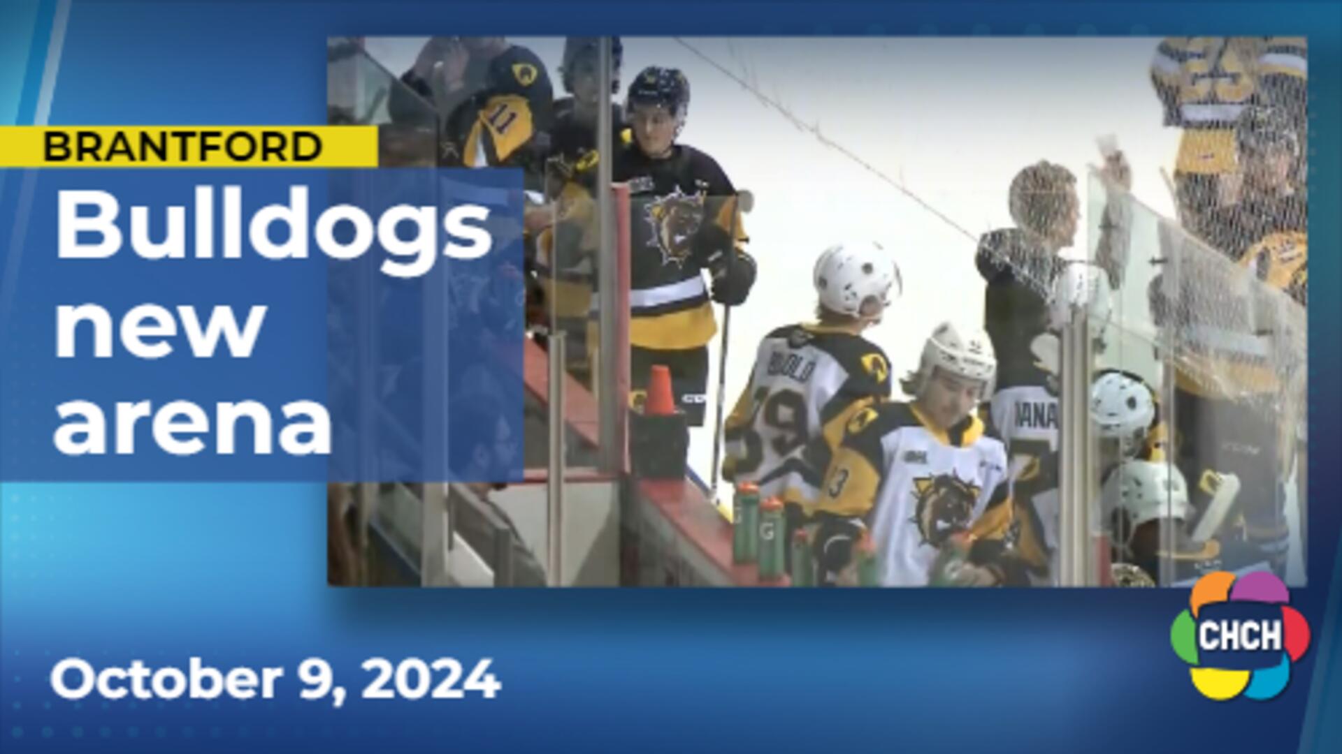 Brantford Bulldogs look to long-term as city approves $140M arena