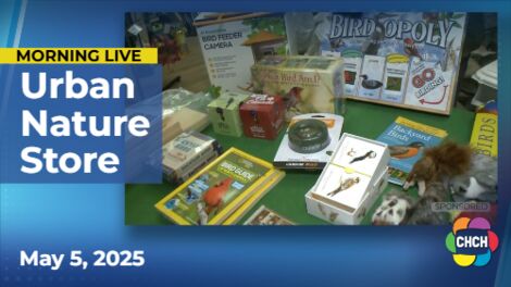 Spread your wings and fly over to Urban Nature Store