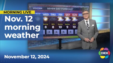 Morning Weather for November 12th, 2024