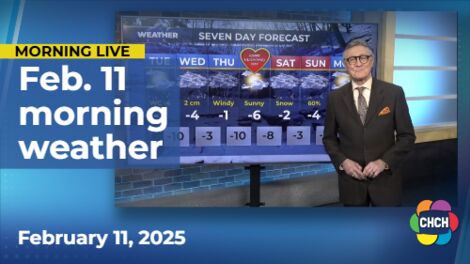 Morning weather forecast for February 11, 2025